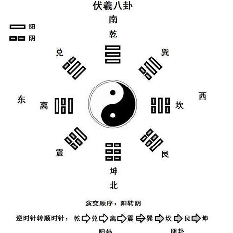 伏羲 八卦|伏羲八卦（名词解析）